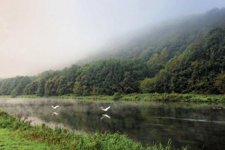 070923 MEUSE 14797 01P.jpg